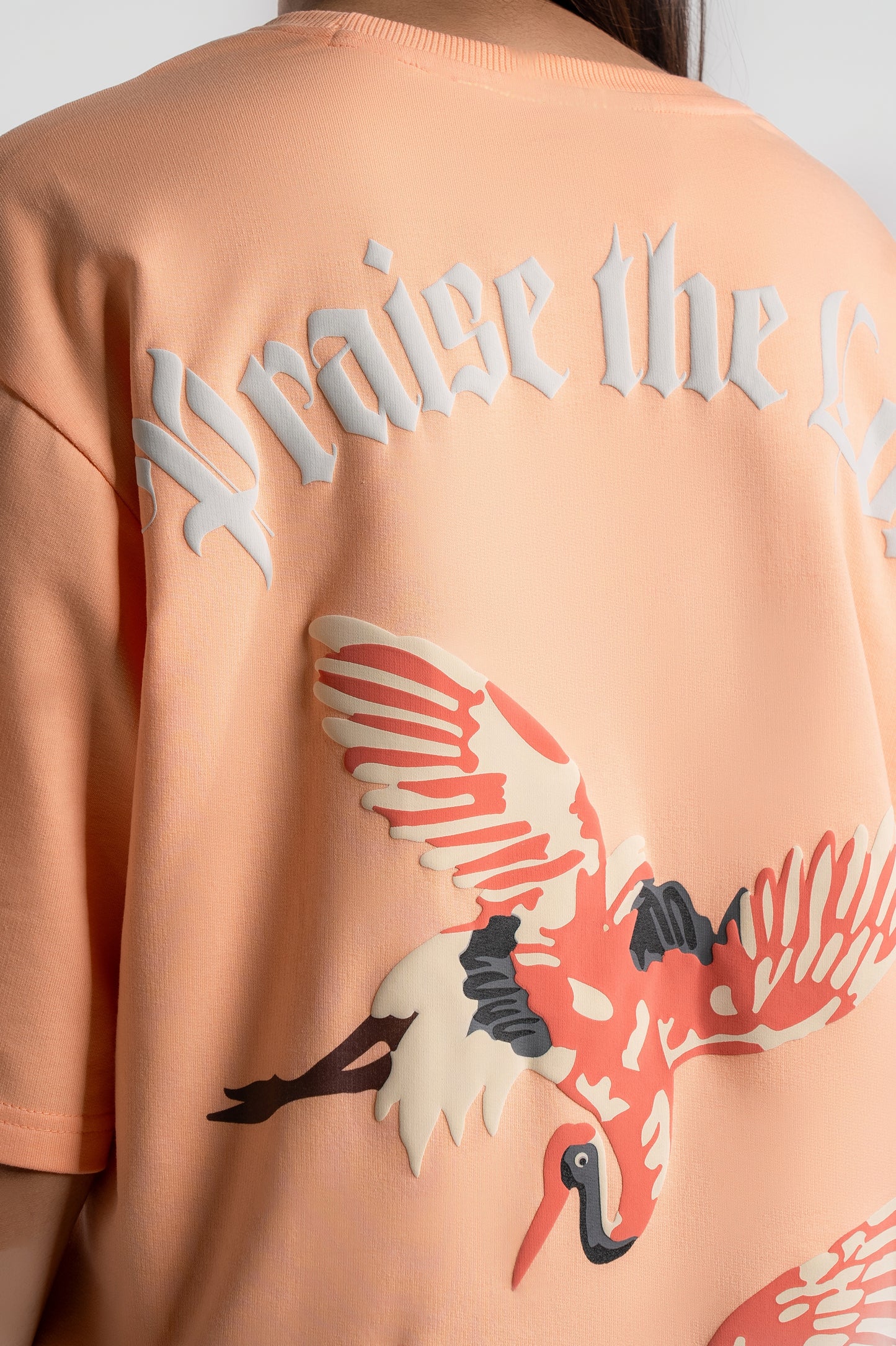 Praise the Lord Oversized T-Shirts